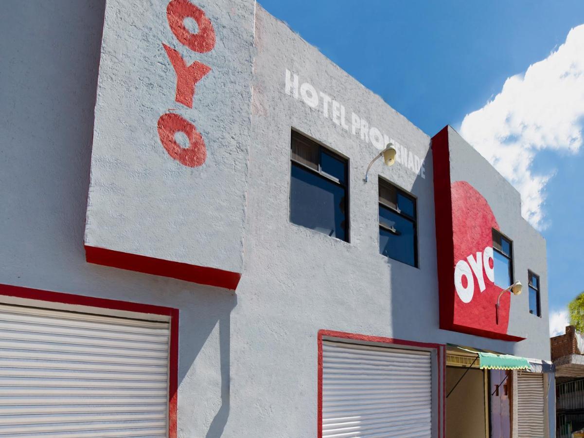 Oyo Promenade,Terminal Central De Autobuses De Guanajuato Exteriör bild