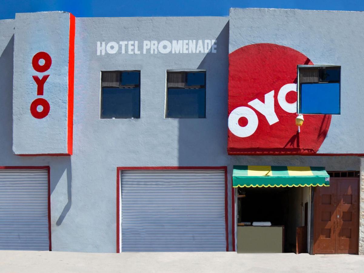 Oyo Promenade,Terminal Central De Autobuses De Guanajuato Exteriör bild