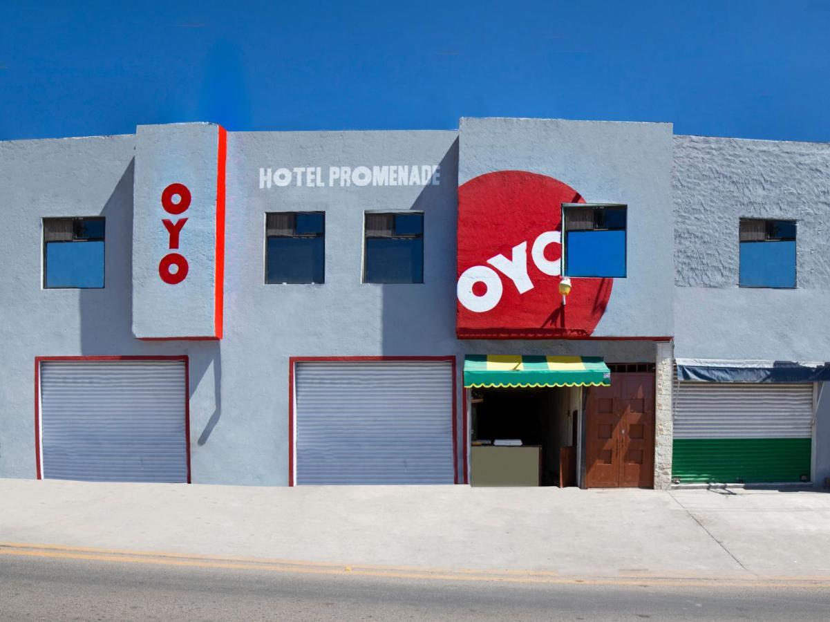 Oyo Promenade,Terminal Central De Autobuses De Guanajuato Exteriör bild